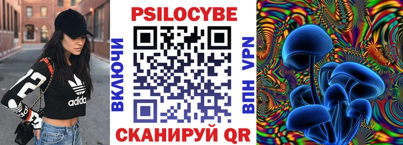 Псилоцибиновые грибы Psilocybe  Пыть-Ях 